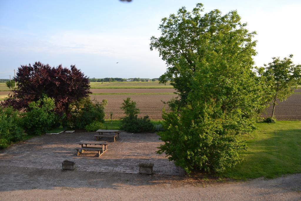 Вилла Agriturismo La Rovere Cesole Экстерьер фото